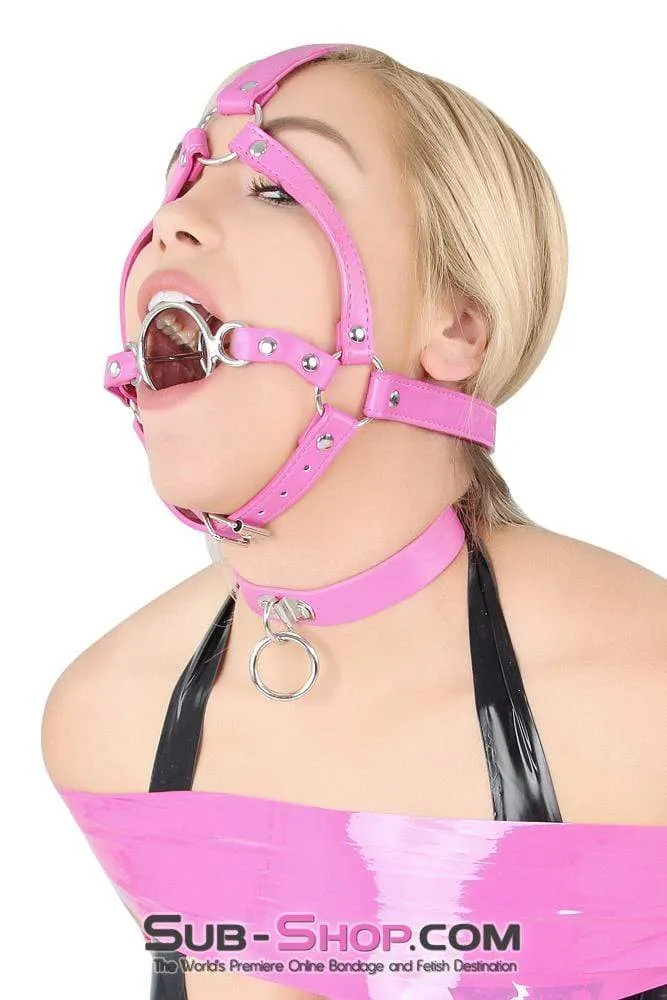 0210DL-SIS      Sissy Slave Sissy Maid Slut Hot Pink Tongue Depressor Double Ring Gag Trainer