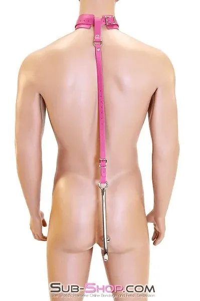 0767A-SIS      Femme Sissy Slut Trainer Adjustable Anal Hook Trainer and Collar Set, Slim Tip