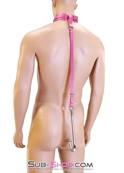0767A-SIS      Femme Sissy Slut Trainer Adjustable Anal Hook Trainer and Collar Set, Slim Tip