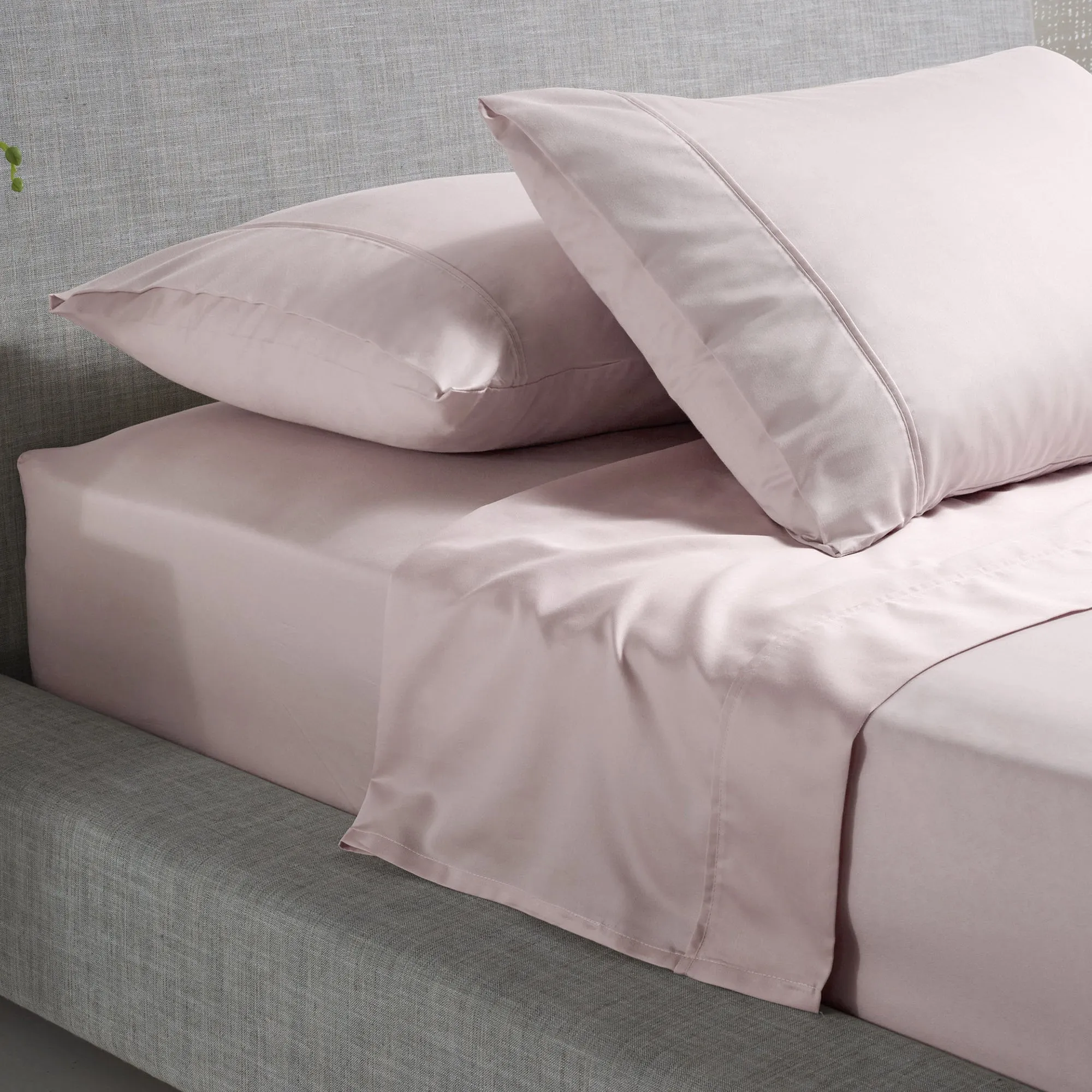 Accessorize 1000TC Cotton Rich Sheet Set - Blush