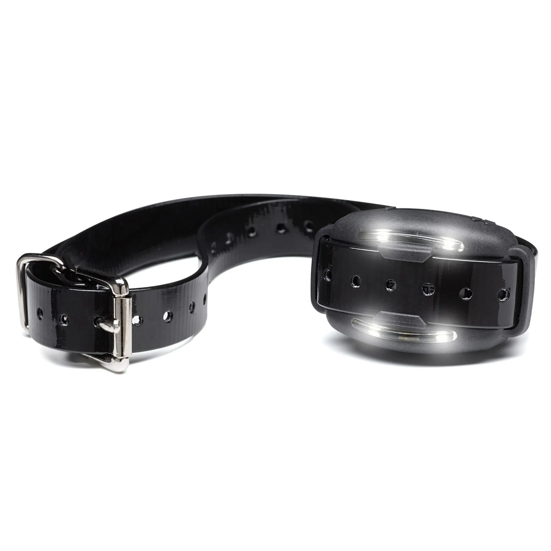 Big Leash V-10 Replacement Receiver