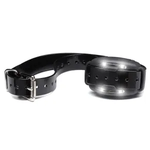 Big Leash V-10 Replacement Receiver