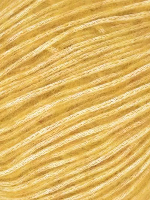 Cotton   Merino