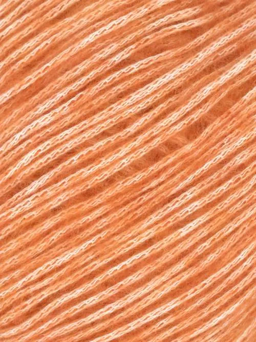 Cotton   Merino