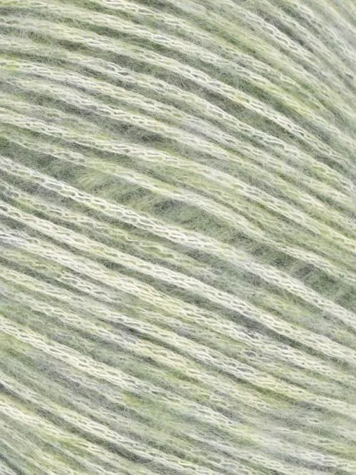 Cotton   Merino