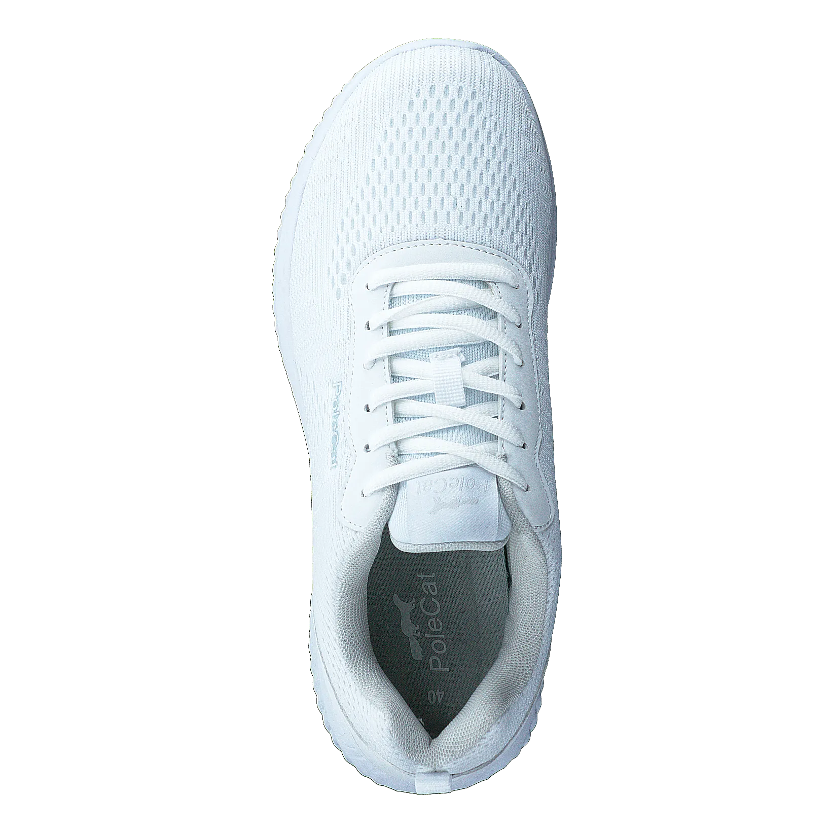 Credo Iowa White