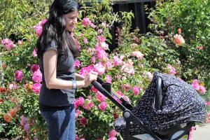 LITTLE FLOWERS NursElet® Cover