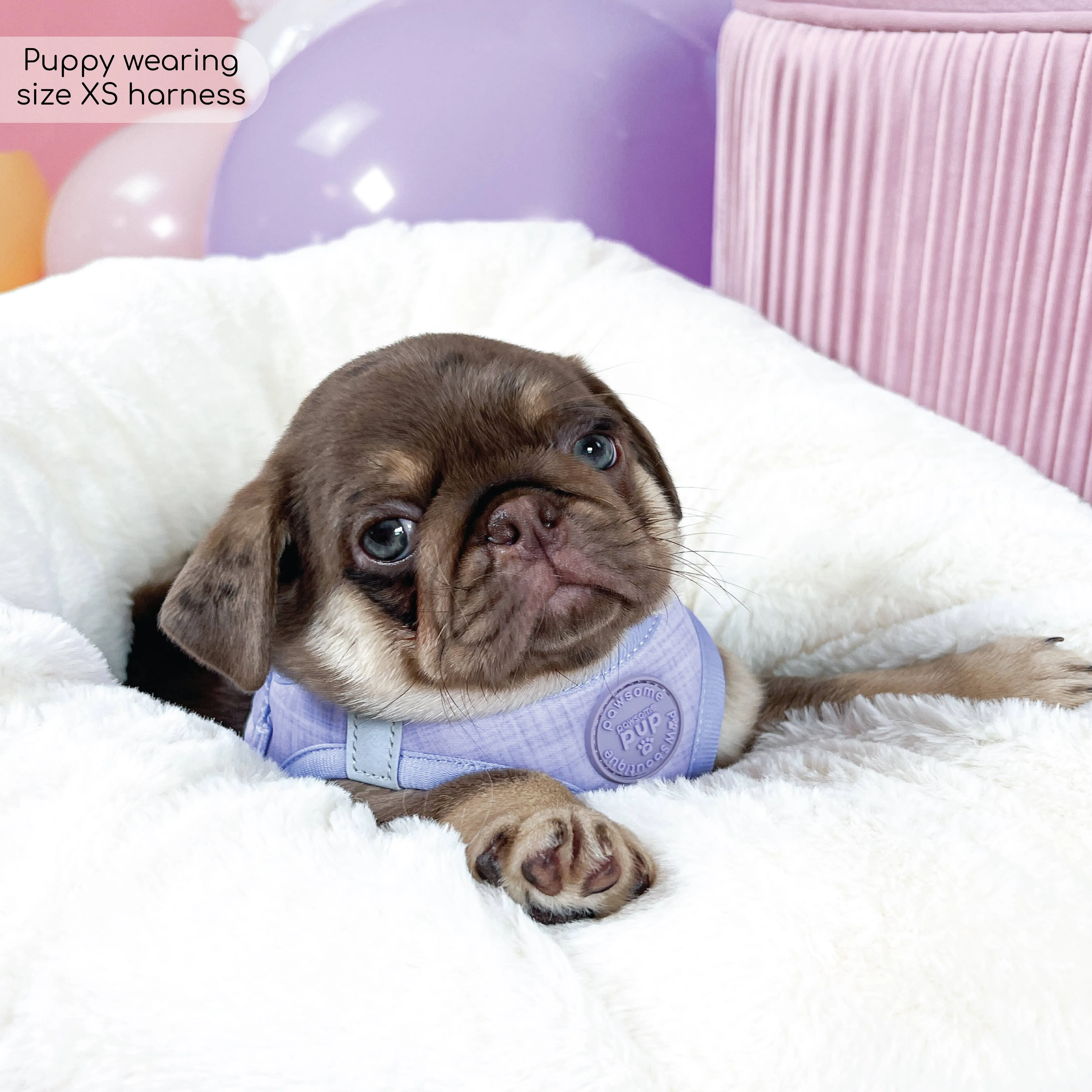 Pawsome Paws - Pawsome Pup Harness - Lilac: Small