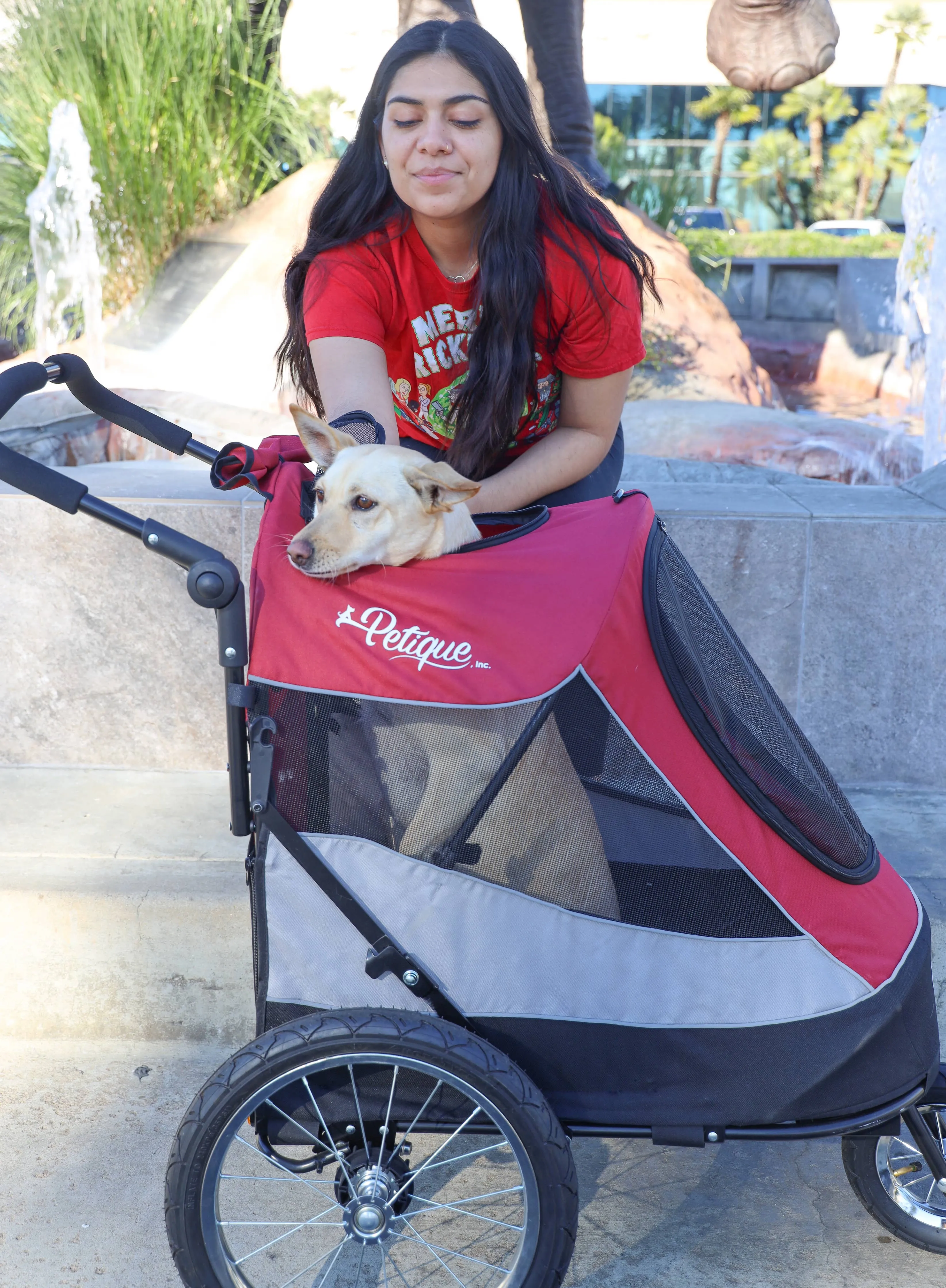 Petique, Inc - Trailblazer Pet Jogger
