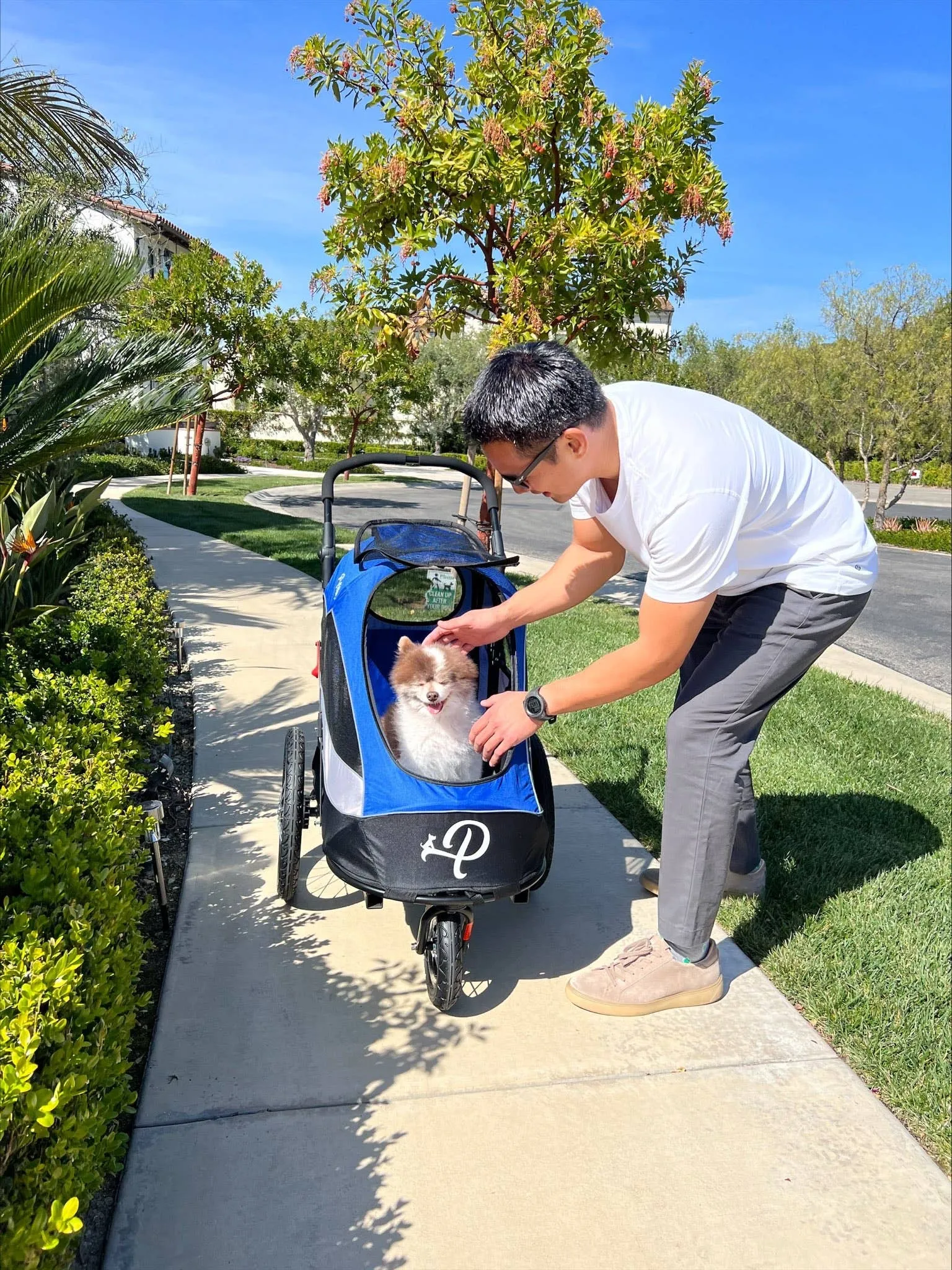 Petique, Inc - Trailblazer Pet Jogger