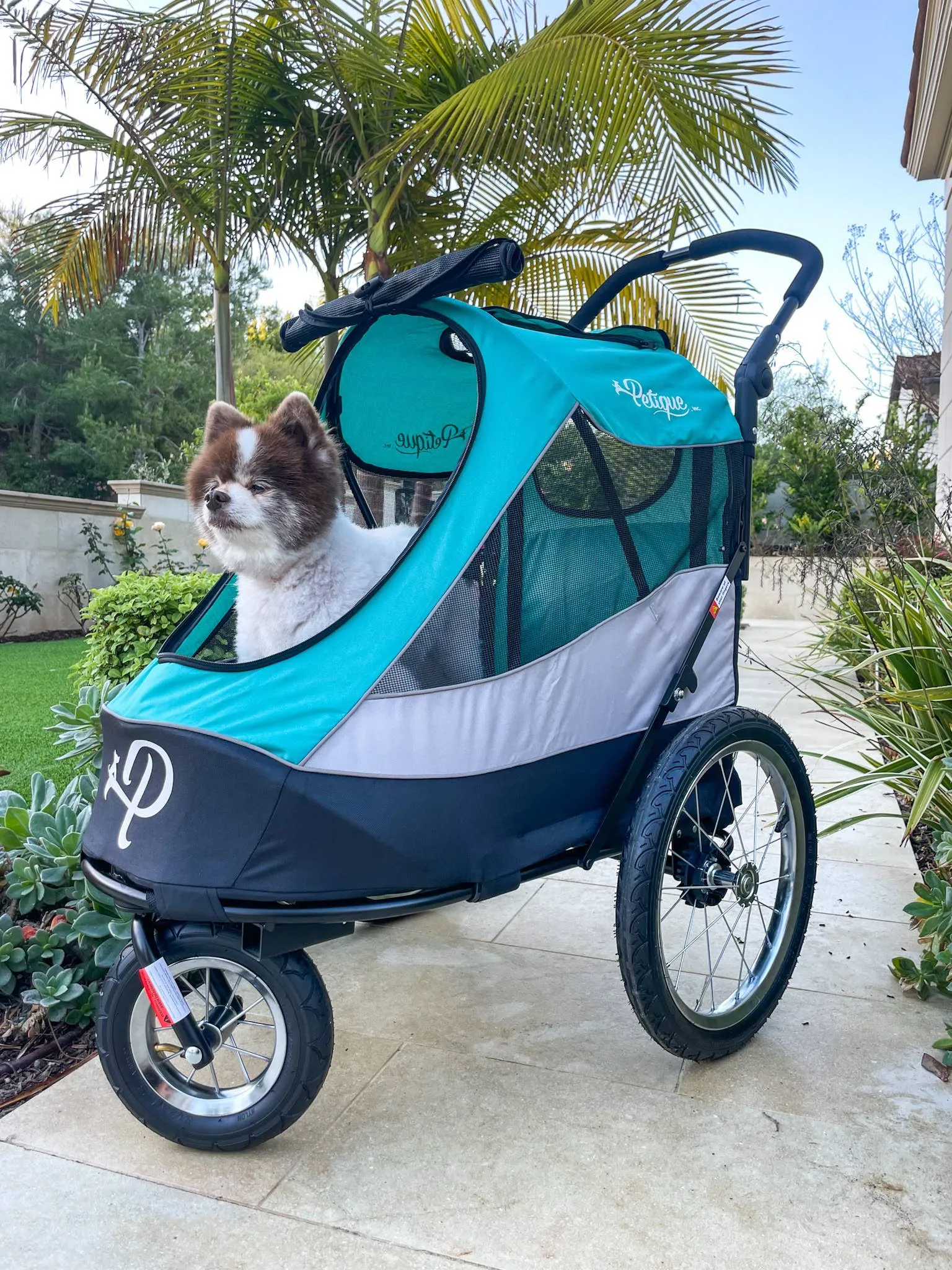 Petique, Inc - Trailblazer Pet Jogger